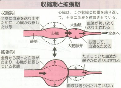 「拡張期血圧」の画像検索結果