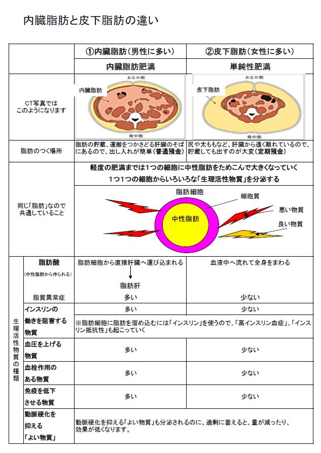 弁護士 小松亀一法律事務所 健康 奥田昌子氏著 内臓脂肪を最速で落とす 紹介 内蔵脂肪と皮下脂肪の違い